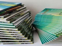 千彩文化為客戶提供卓有成效的同學(xué)聚會(huì)--福州同學(xué)聚會(huì)圖片|千彩文化為客戶提供卓有成效的同學(xué)聚會(huì)--福州同學(xué)聚會(huì)產(chǎn)品圖片由福州千彩文化傳播公司生產(chǎn)提供-