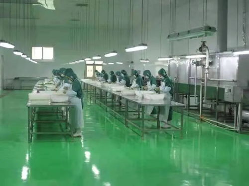 全國(guó)綠色蔬菜和有機(jī)農(nóng)產(chǎn)品生產(chǎn)示范區(qū)的工程技術(shù)研究與試驗(yàn)發(fā)展