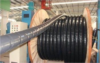 山東省德州市MKVV10*0.75生產(chǎn)基地 電線電纜技術(shù)開發(fā)與產(chǎn)業(yè)實(shí)踐